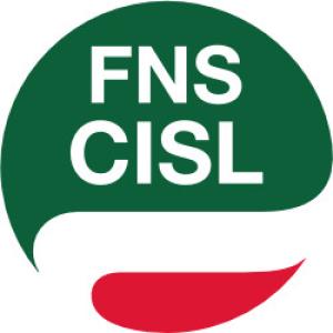 FNS